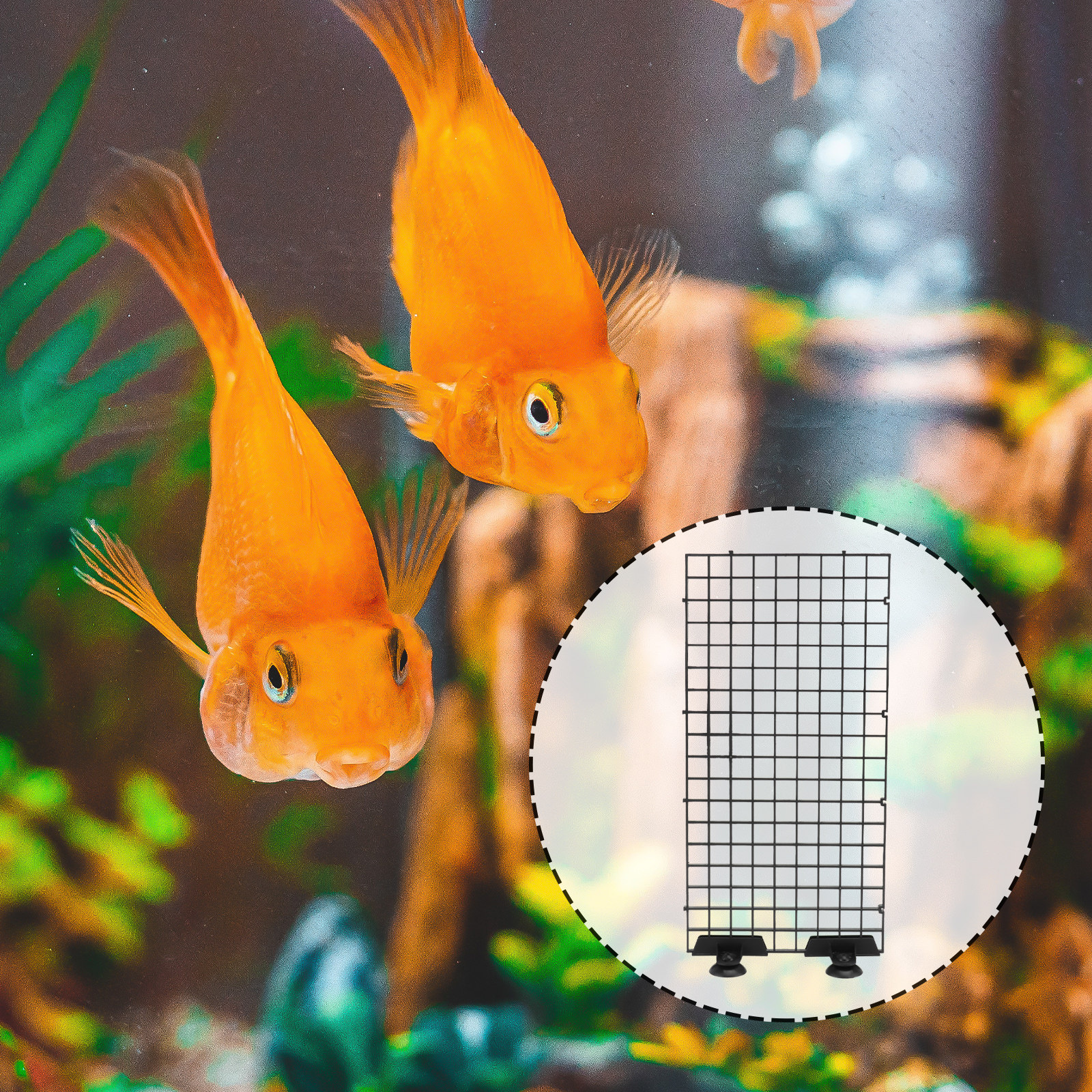 Aquarium Fish Big Size - Fish Breeder Net Big Size Black