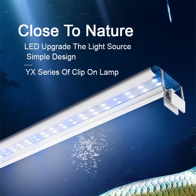 Extensible Waterproof Clip on  – Aquarium Fish Light Lamp Bewertung und Preis