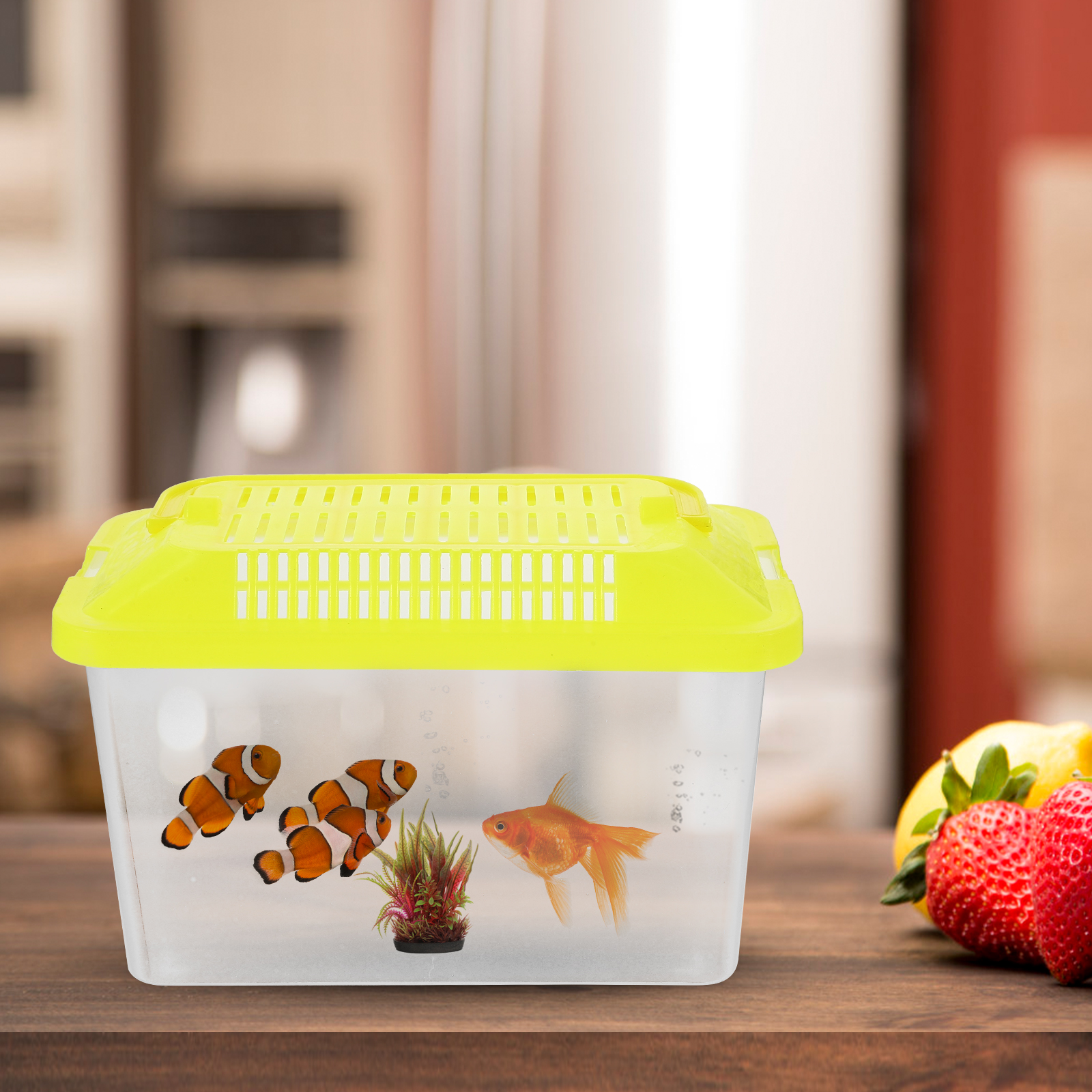 Plastic Turtle Fish Tank Aquar – Aquarium Fish For Sale Bewertung und Preis