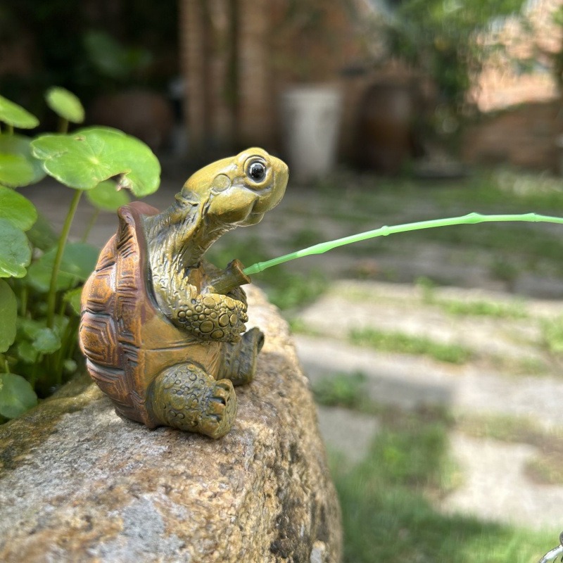 Turtle fishing fish tank aquar – Aquarium Fish Breeding Bewertung und Preis