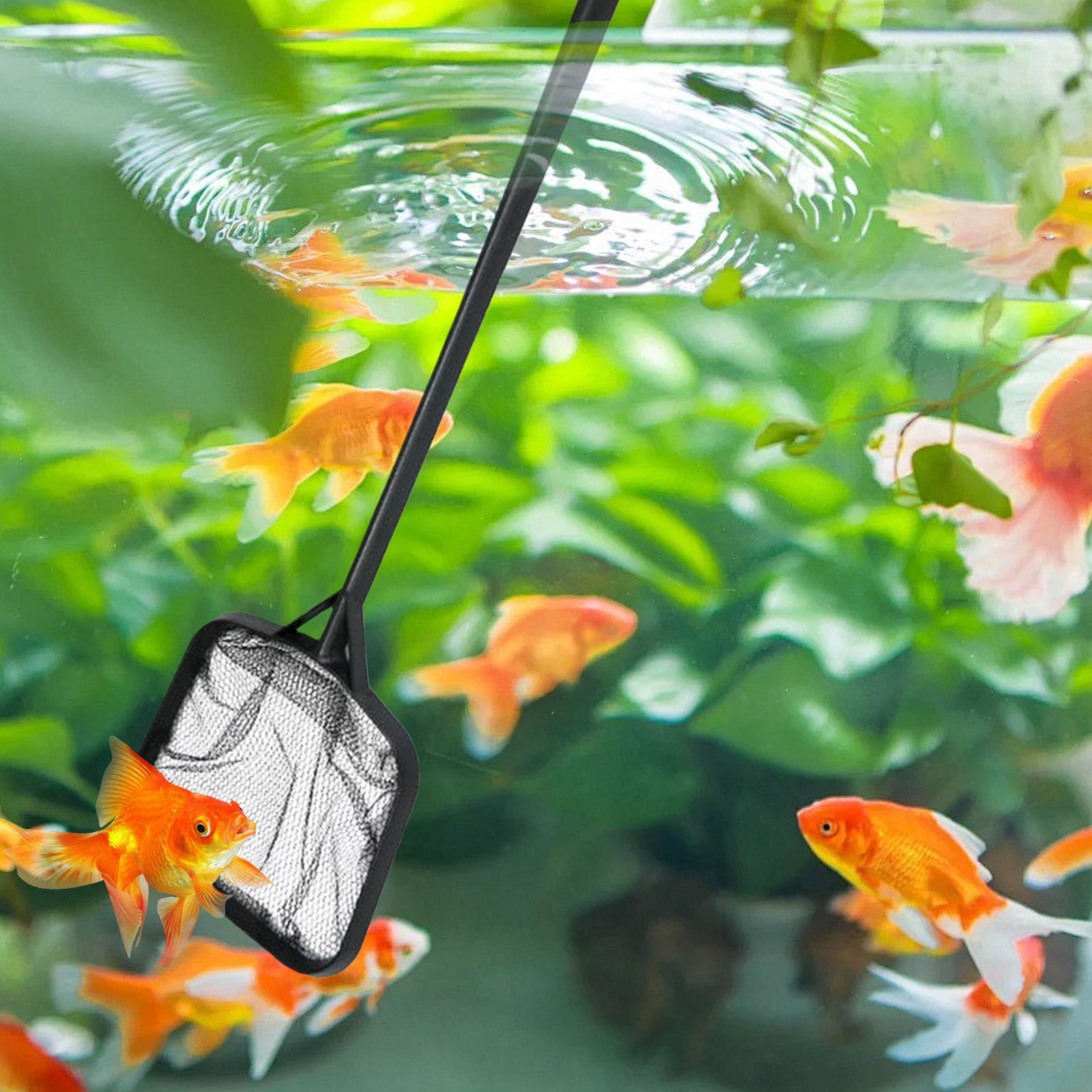 Pool Nets for Cleaning Portabl – Aquarium Fish Breeding Bewertung und Preis
