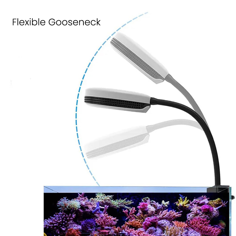 Spectra SP20 20W Aquarium LED  – Aquarium Fish Light Lamp Bewertung und Preis