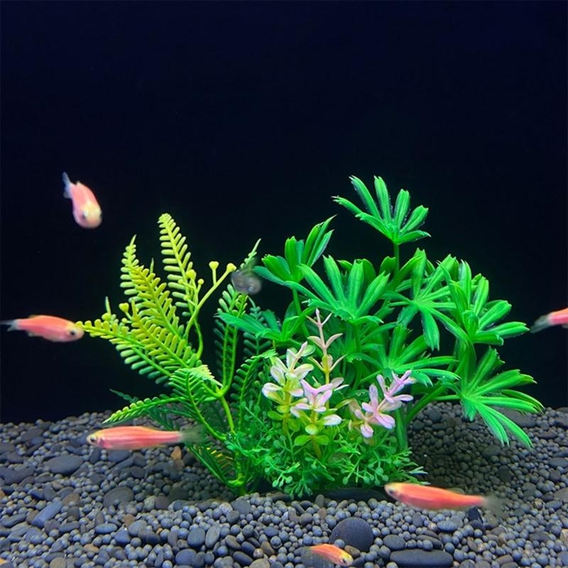 Artificial Aquarium Decoration – Aquarium Fish For Sale Bewertung und Preis