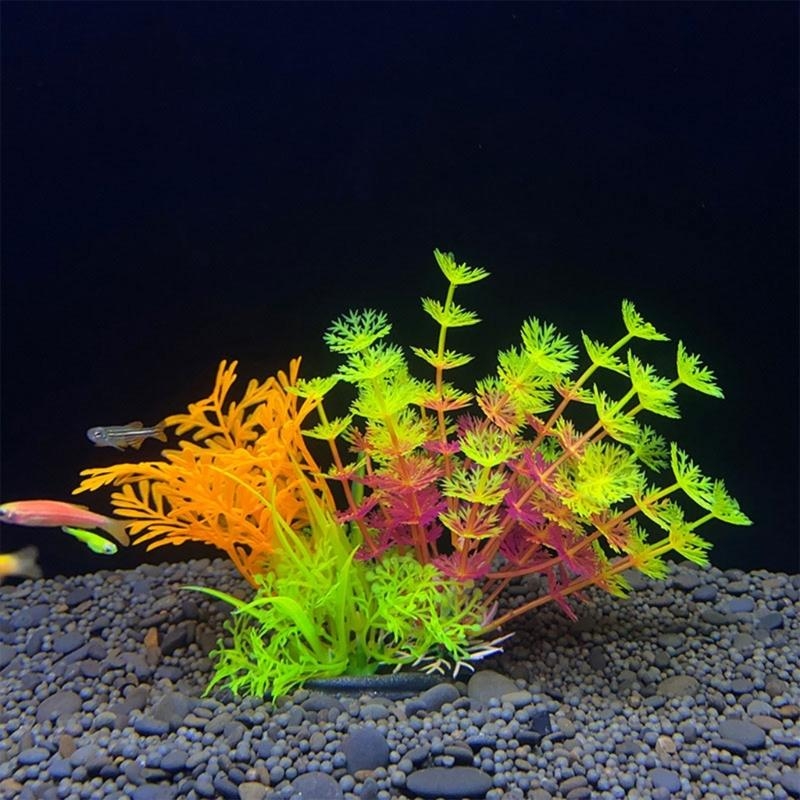 Artificial Aquarium Decoration – Aquarium Fish For Sale Bewertung und Preis