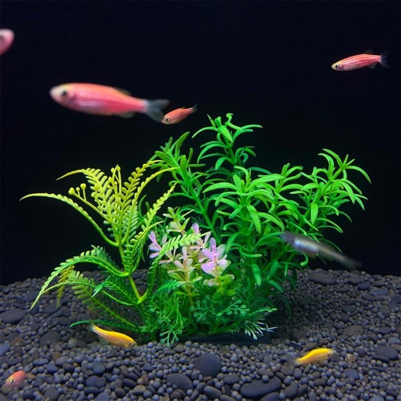 Artificial Aquarium Decoration – Aquarium Fish For Sale Bewertung und Preis