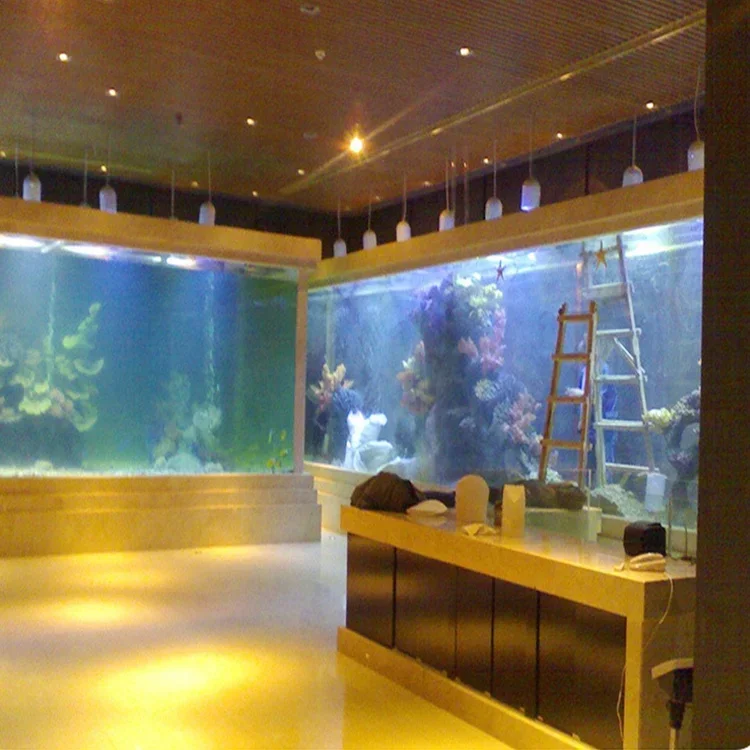 Acrylic Big Fish Tank Rectangl – Aquarium Fish Big Size Bewertung und Preis