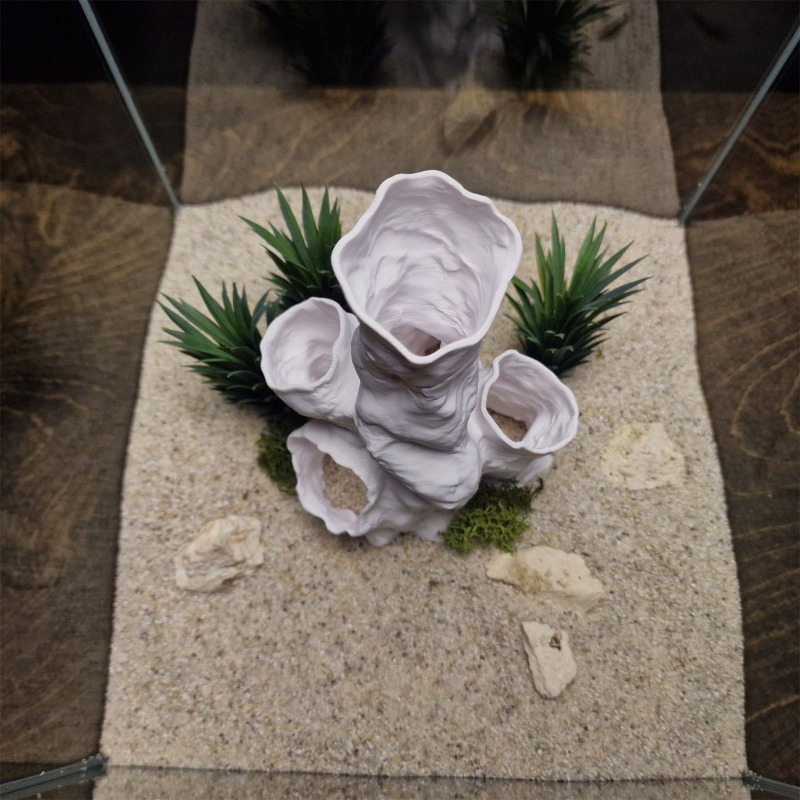 Hot Sale 3D Printed Coral Tunn – Aquarium Fish For Sale Bewertung und Preis