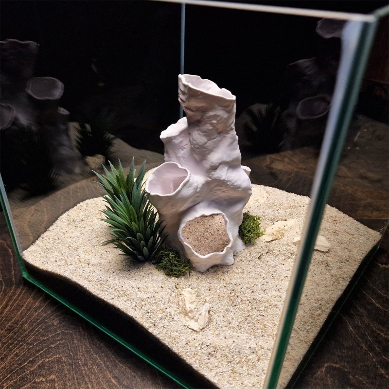 Hot Sale 3D Printed Coral Tunn – Aquarium Fish For Sale Bewertung und Preis