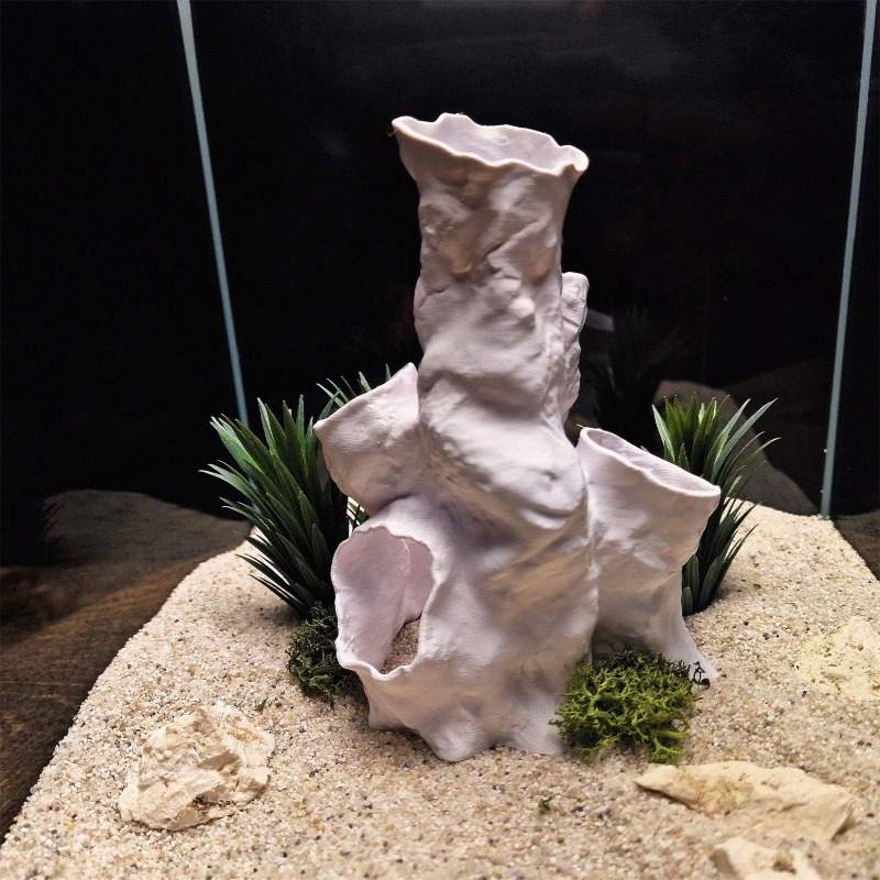 Hot Sale 3D Printed Coral Tunn – Aquarium Fish For Sale Bewertung und Preis