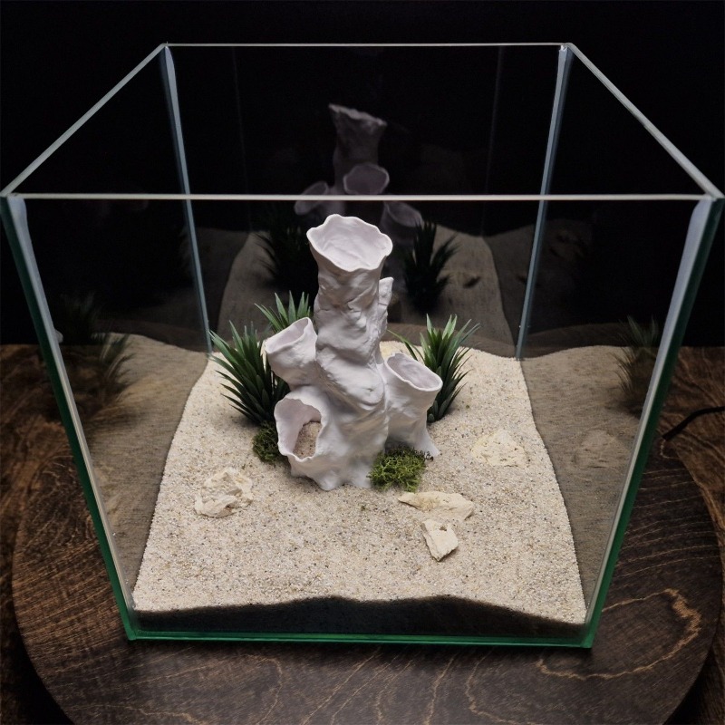 Hot Sale 3D Printed Coral Tunn – Aquarium Fish For Sale Bewertung und Preis