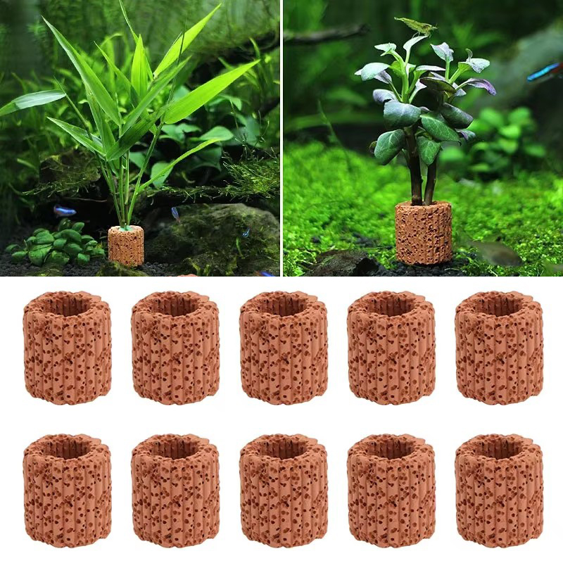 Aquatic Plant Fixed Ring for A – Aquarium Fish For Sale Online Bewertung und Preis