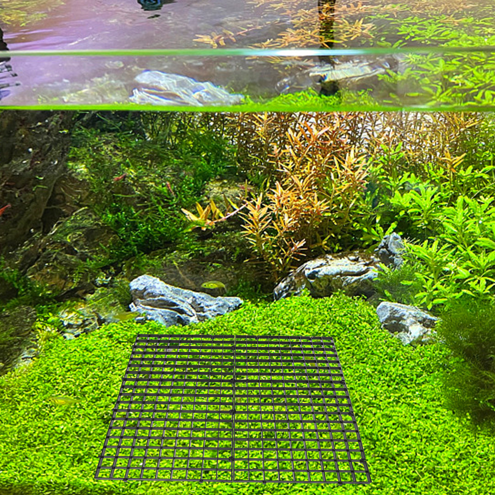 10Pcs Aquarium Divider Tray Pl – Aquarium Fish Images Bewertung und Preis