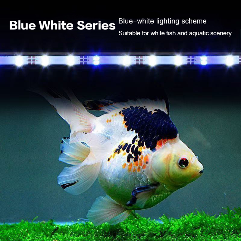 17-47CM USB Plug Aquarium Ligh – Aquarium Fish Light Lamp Bewertung und Preis
