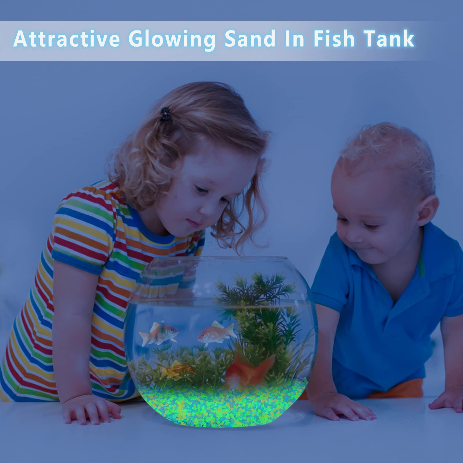 1000Pcs Luminous Sand Glow In  – Aquarium Fish Breeding Bewertung und Preis