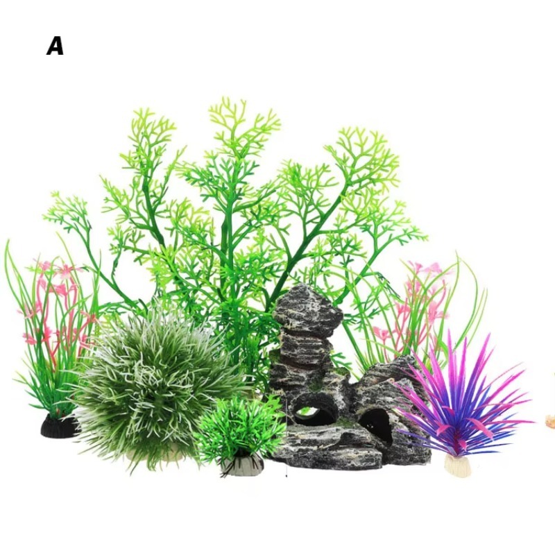 10pcs Hot Selling New Arrival  – Aquarium Fish For Sale Bewertung und Preis