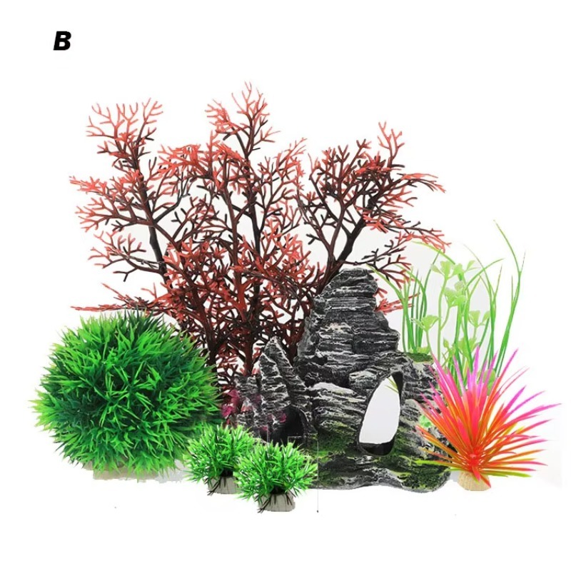 10pcs Hot Selling New Arrival  – Aquarium Fish For Sale Bewertung und Preis