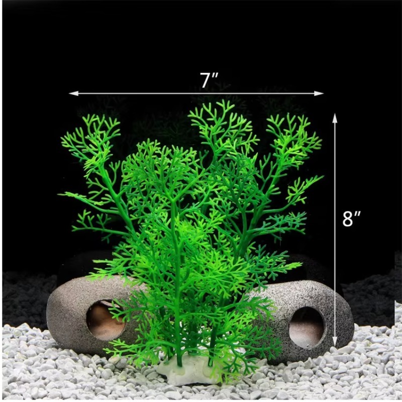 10pcs Hot Selling New Arrival  – Aquarium Fish For Sale Bewertung und Preis