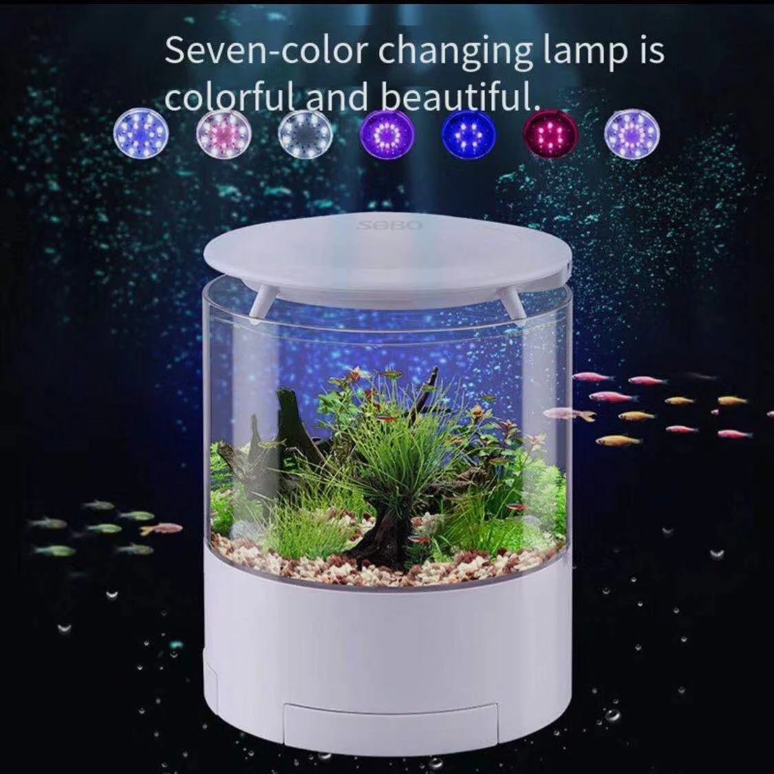 Round colorful lights desktop  – Aquarium Fish For Sale Bewertung und Preis