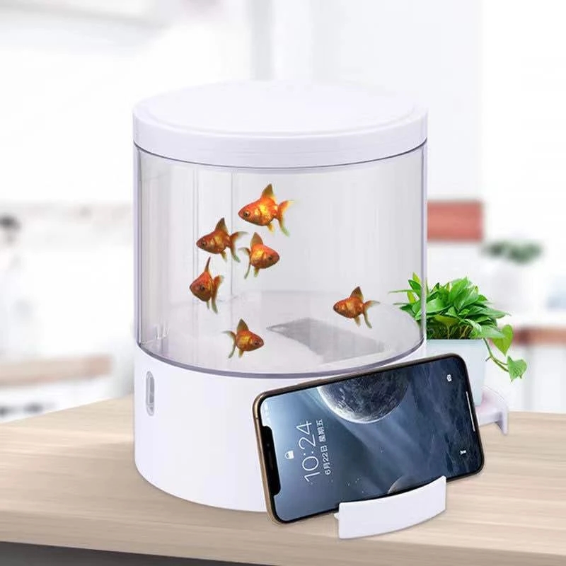 Round colorful lights desktop  – Aquarium Fish For Sale Bewertung und Preis