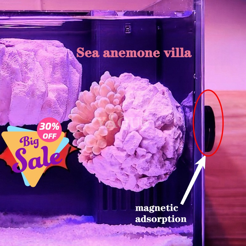 New DIY Handmade Floating Magn – Aquarium Fish For Sale Online Bewertung und Preis