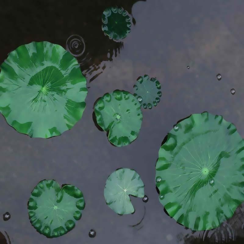 2026 Artificial Water Lily Lot – Aquarium Fish Breeding Bewertung und Preis