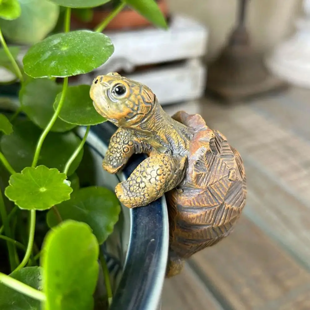 Fishing Turtle Hanging Turtle  – Aquarium Fish Breeding Bewertung und Preis