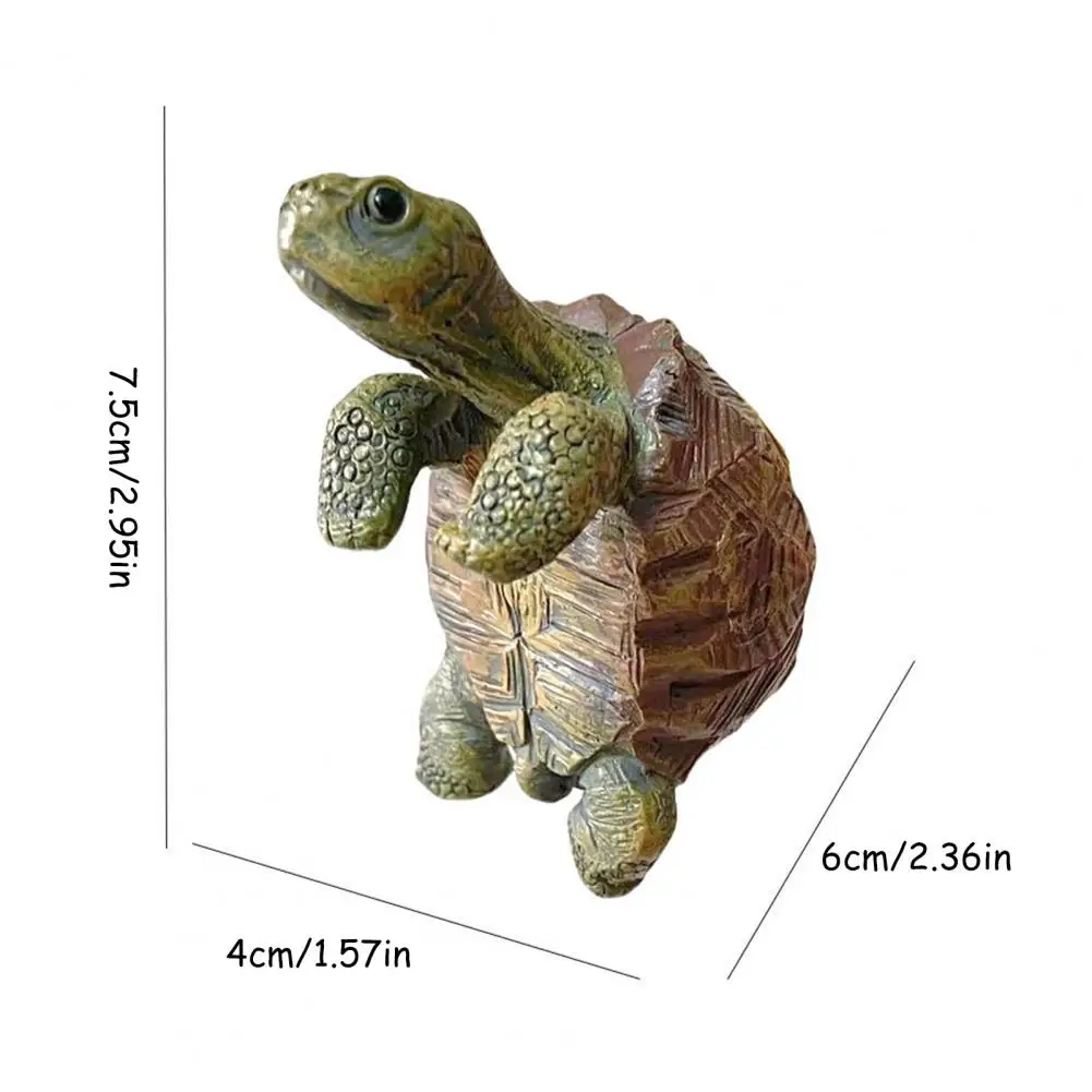 Fishing Turtle Hanging Turtle  – Aquarium Fish Breeding Bewertung und Preis