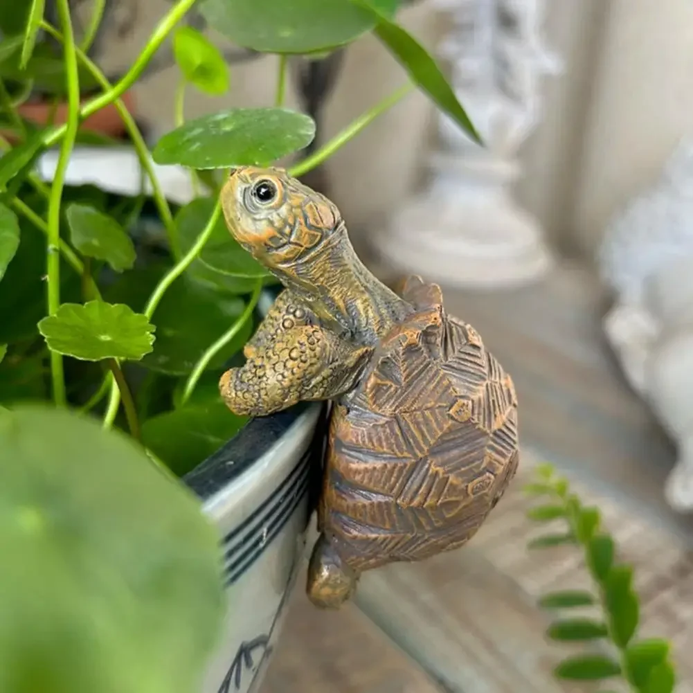 Fishing Turtle Hanging Turtle  – Aquarium Fish Breeding Bewertung und Preis