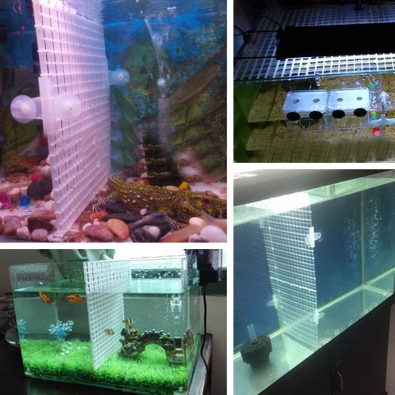 Aquarium Bottom Plate Fish for – Aquarium Fish For Sale Bewertung und Preis