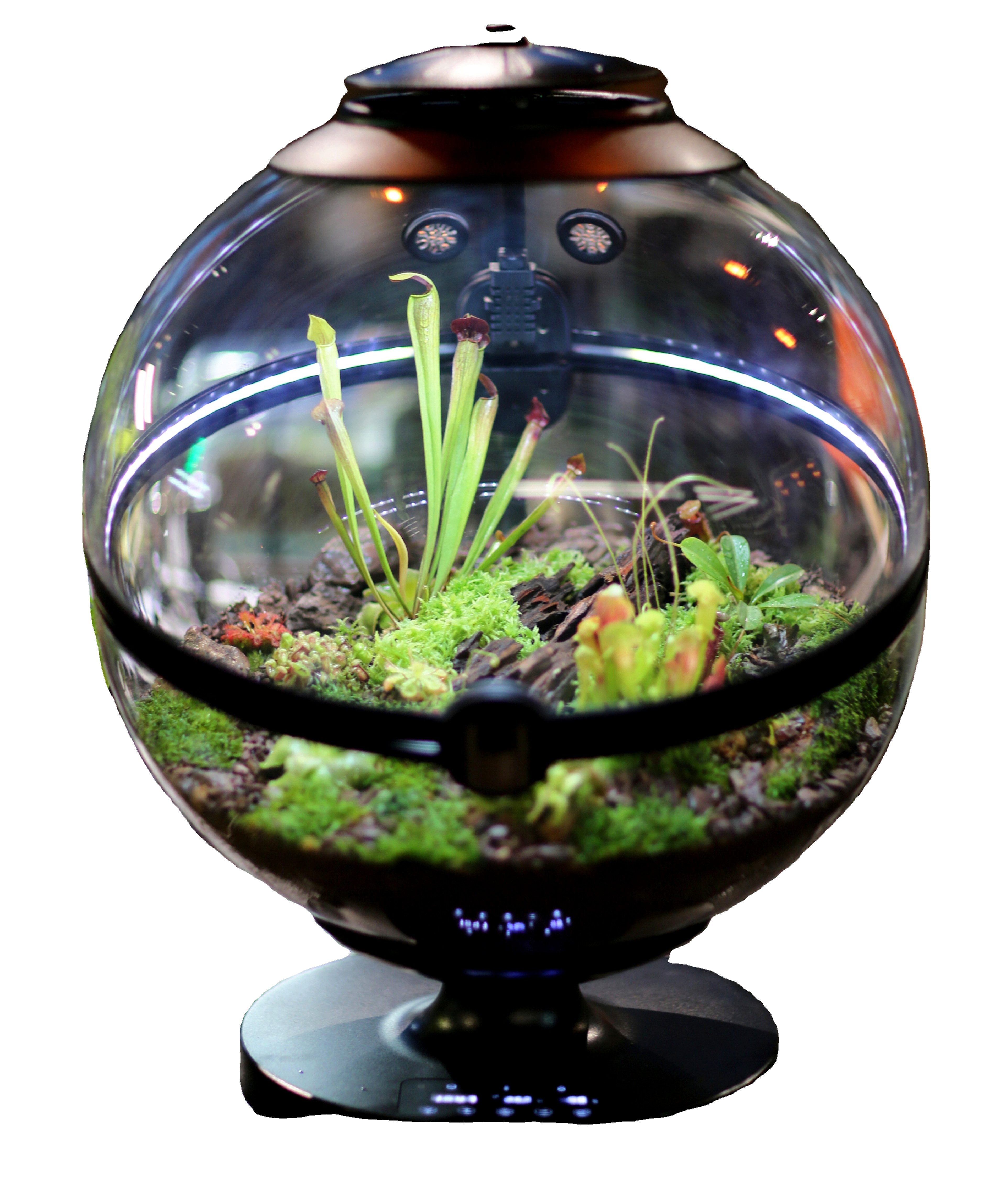 Hot Sales Acrylic Material  Ba – Aquarium Fish For Sale Bewertung und Preis
