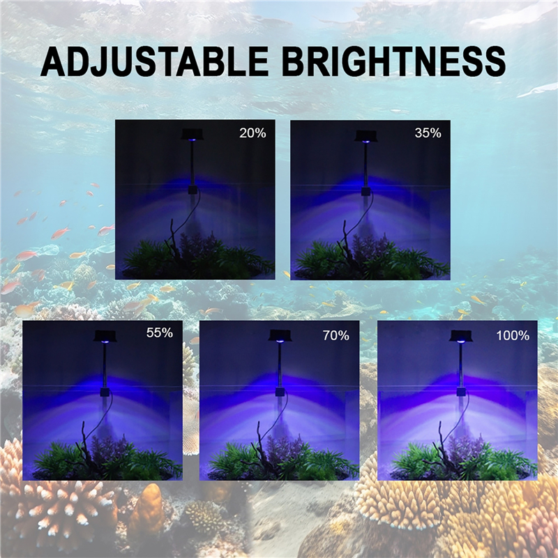30W Aquarium Fish Tank Sea Wat – Aquarium Fish Light Lamp Bewertung und Preis