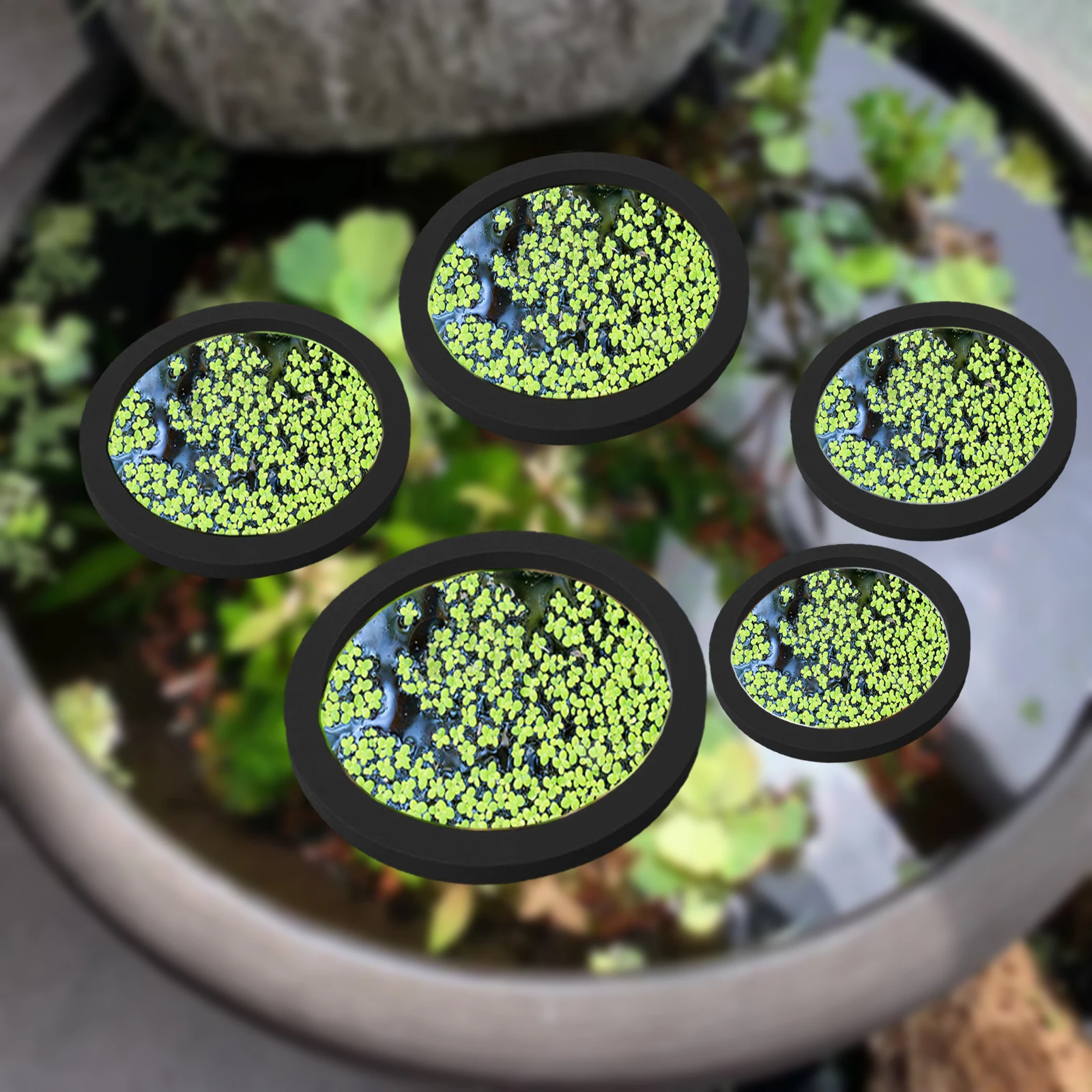 5Pcs EVA Fish Feeding Ring Aqu – Aquarium Fish Breeding Bewertung und Preis