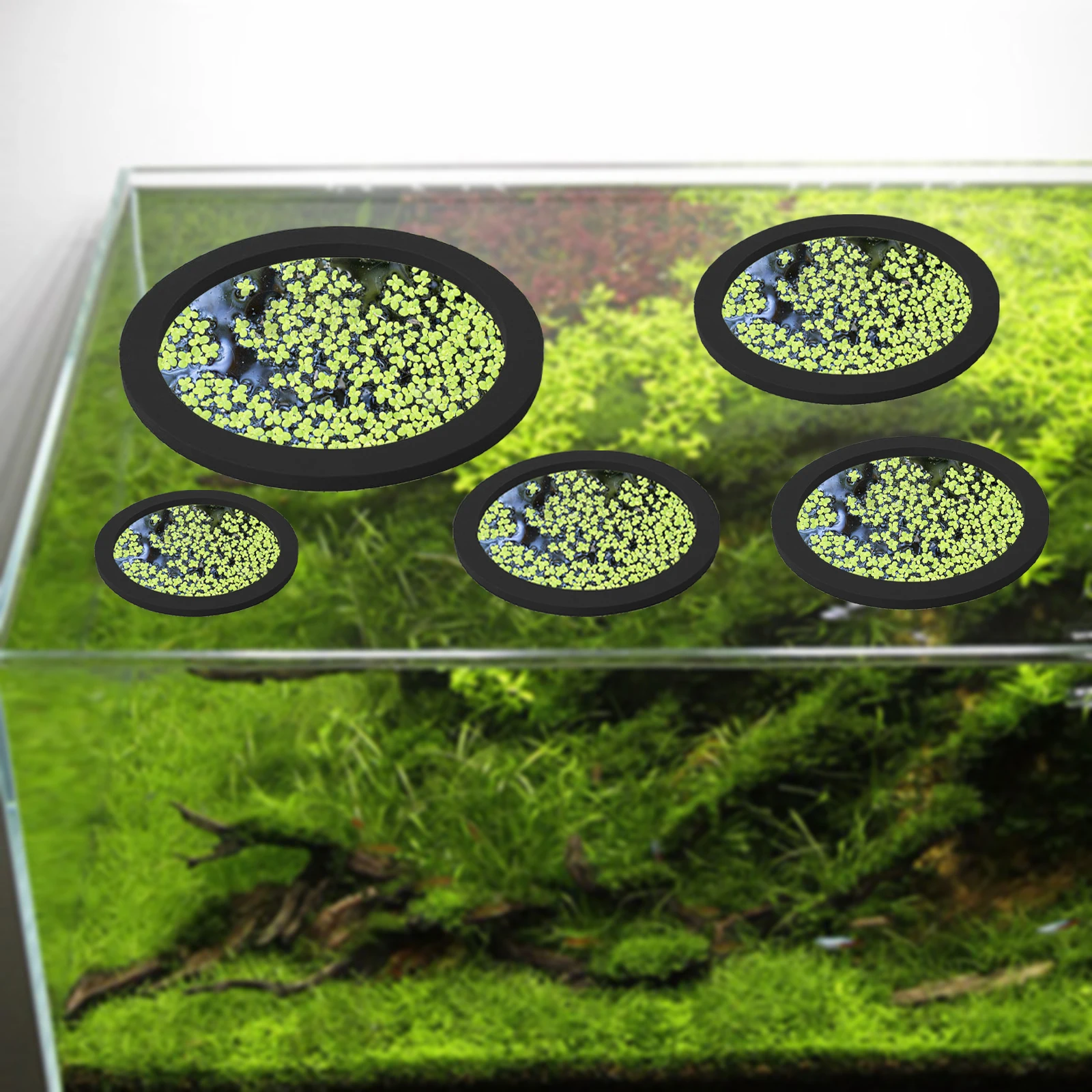 5Pcs EVA Fish Feeding Ring Aqu – Aquarium Fish Breeding Bewertung und Preis