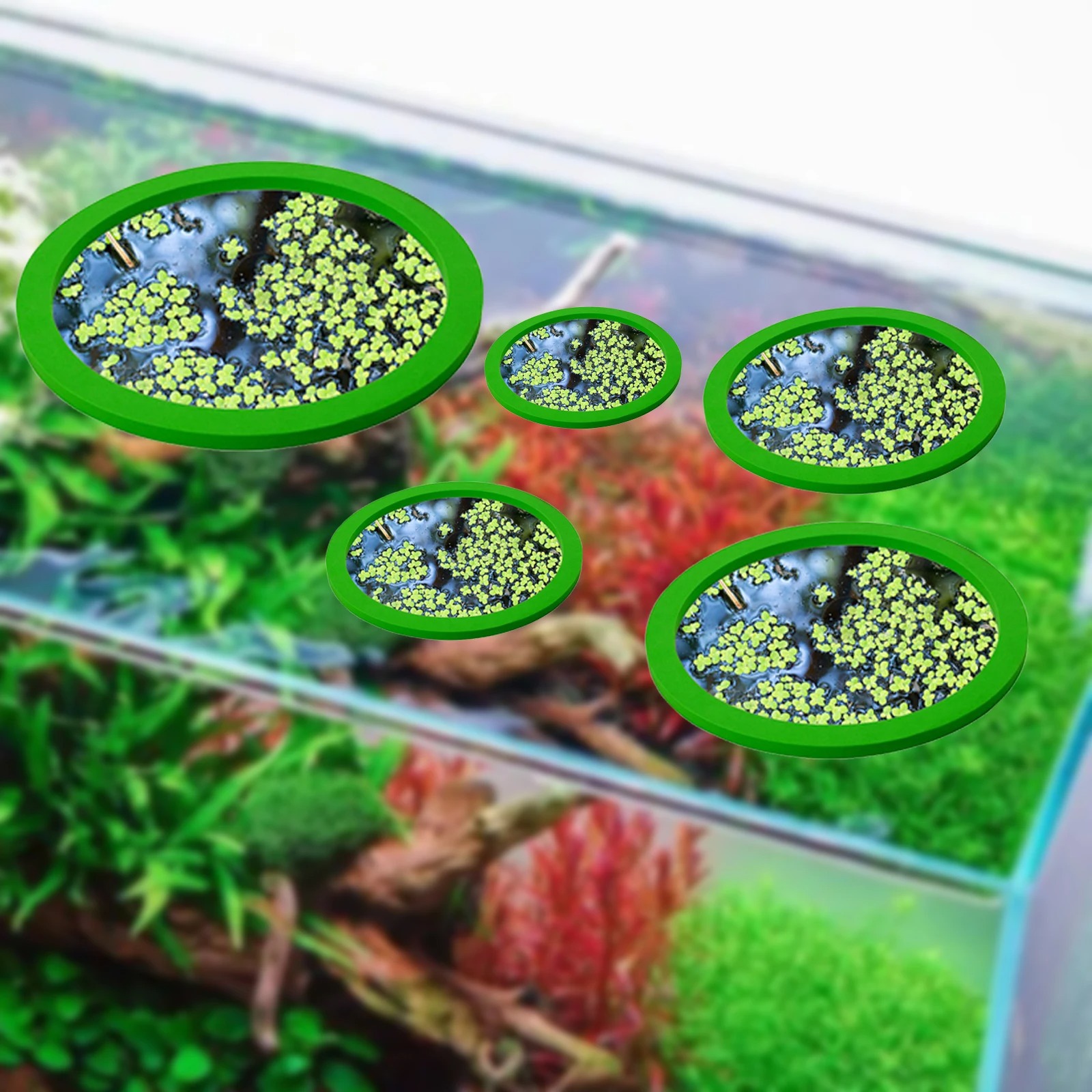 5Pcs EVA Fish Feeding Ring Aqu – Aquarium Fish Breeding Bewertung und Preis