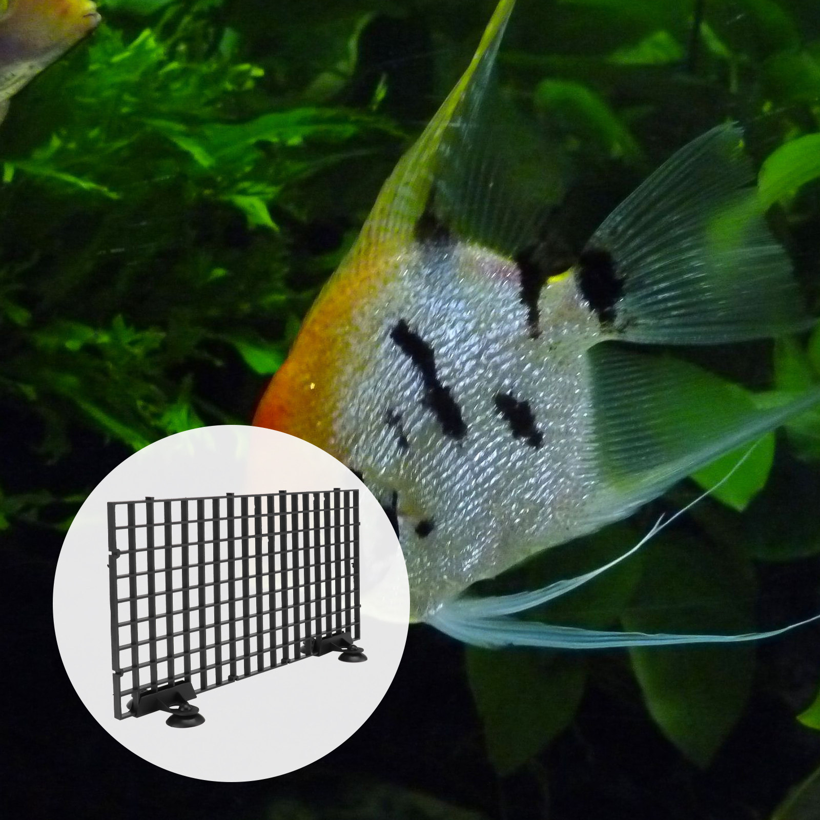 Fish Breeder Net Big Size Blac – Aquarium Fish Big Size Bewertung und Preis