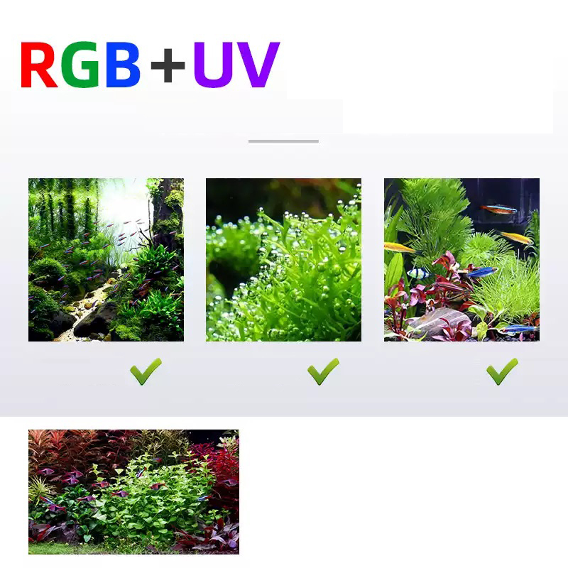 Led Lighting 60cm 80cm 90cm RG – Aquarium Fish For Sale Bewertung und Preis