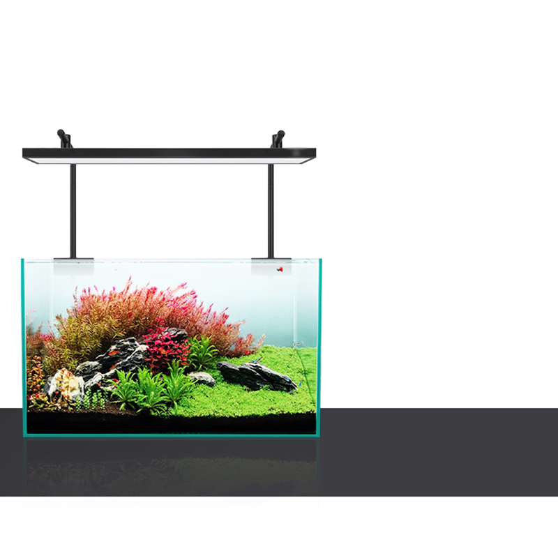 Led Lighting 60cm 80cm 90cm RG – Aquarium Fish For Sale Bewertung und Preis