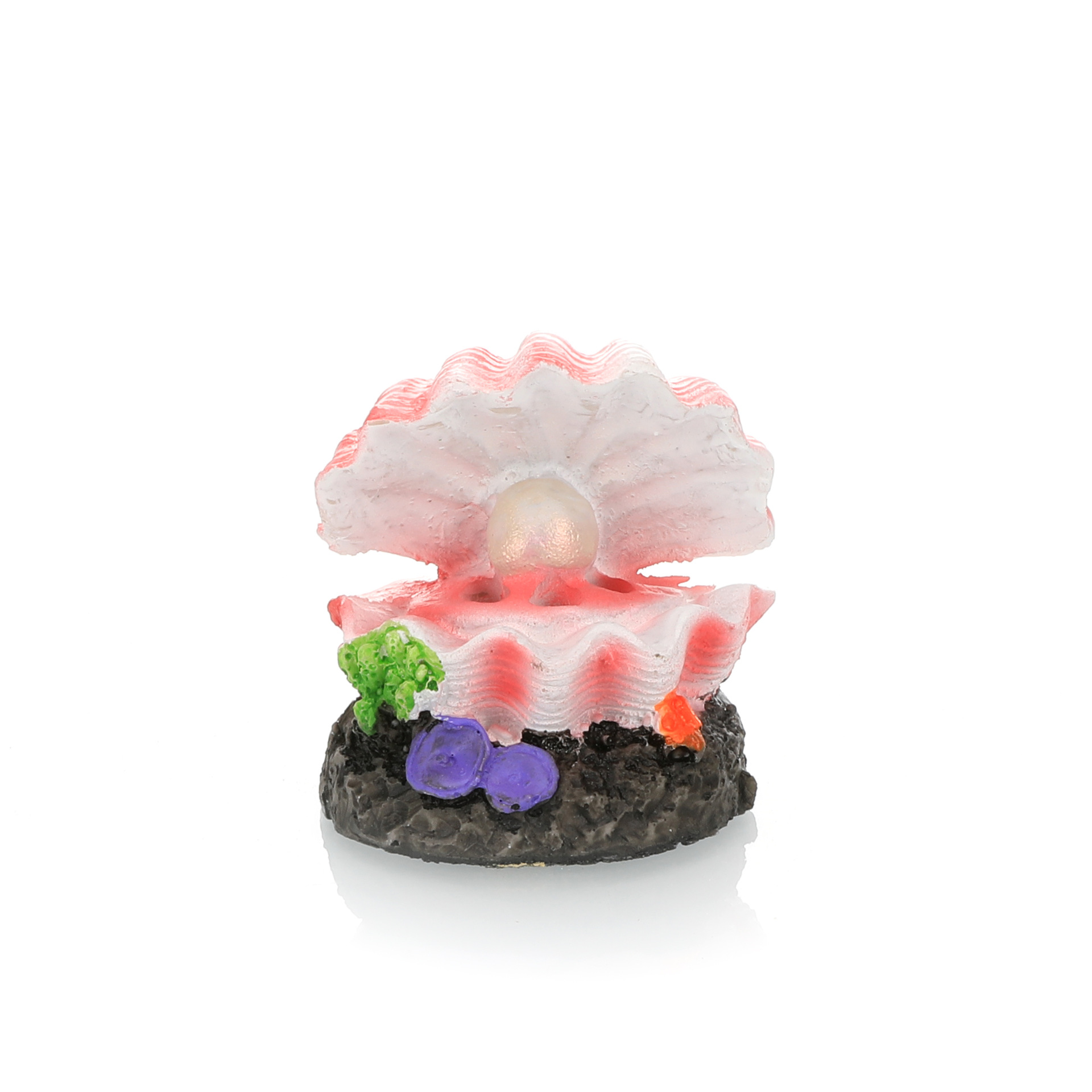 Fish Tank Landscaping Simulati – Aquarium Fish For Sale Online Bewertung und Preis
