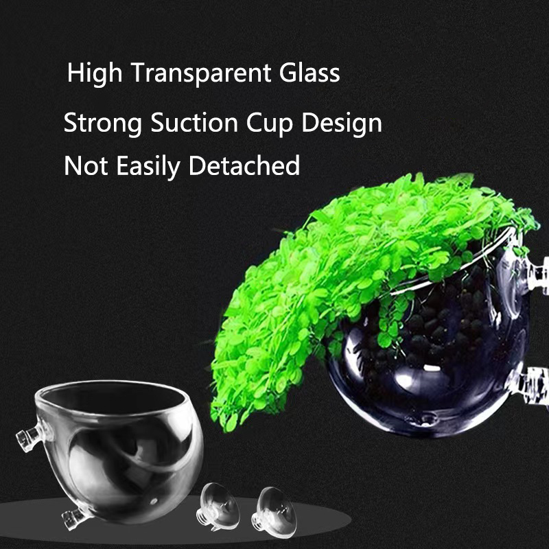 Glass Aquarium Decoration Hang – Aquarium Fish For Sale Online Bewertung und Preis