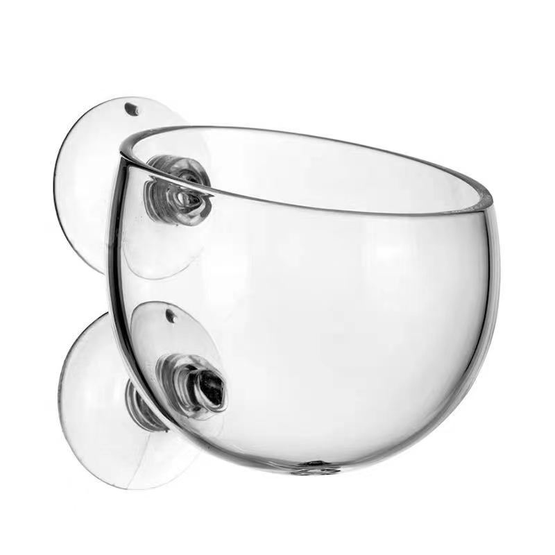 Glass Aquarium Decoration Hang – Aquarium Fish For Sale Online Bewertung und Preis