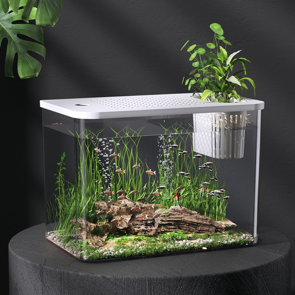 PET+ABS Fish Tank Transparent  – Aquarium Fish For Sale Bewertung und Preis