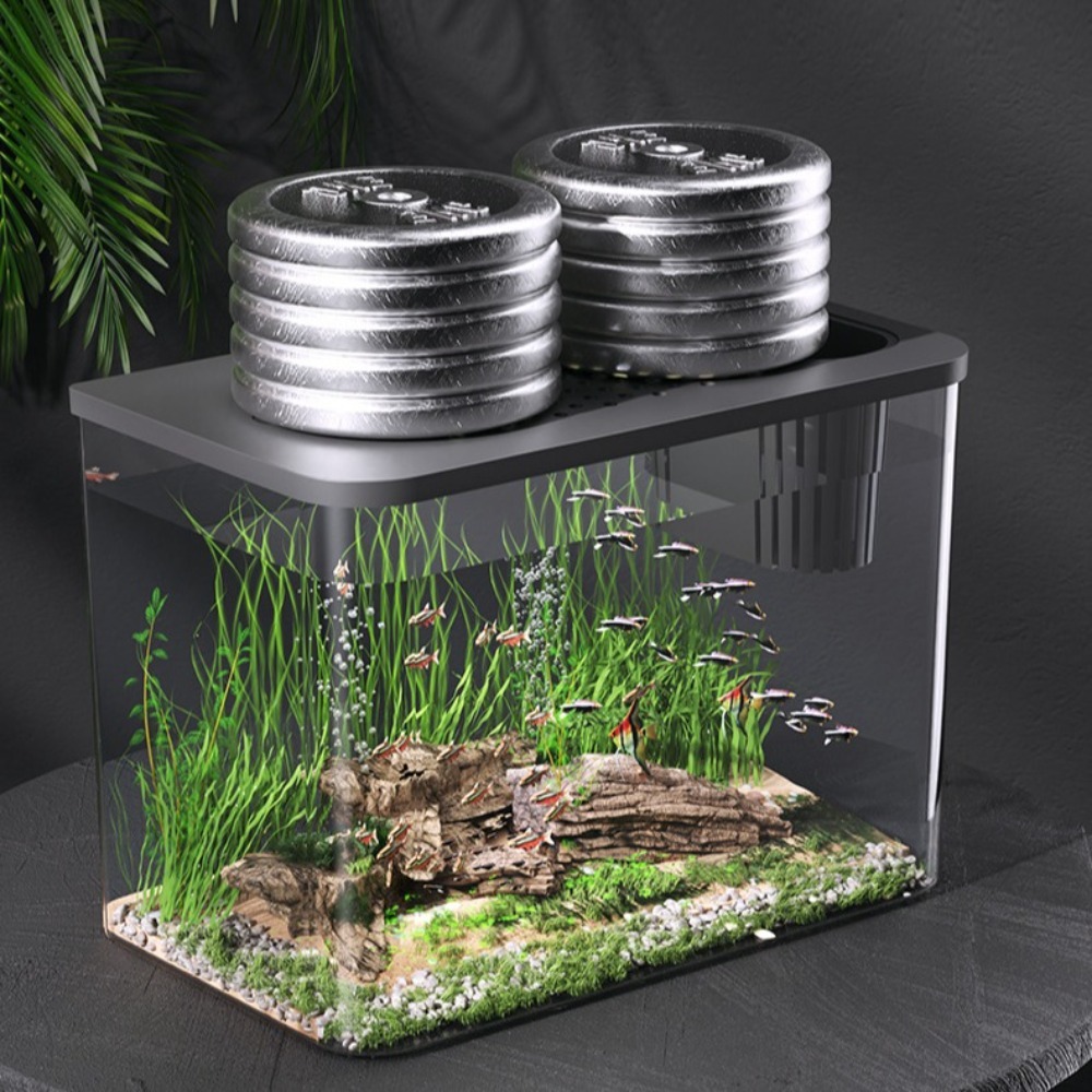 PET+ABS Fish Tank Transparent  – Aquarium Fish For Sale Bewertung und Preis