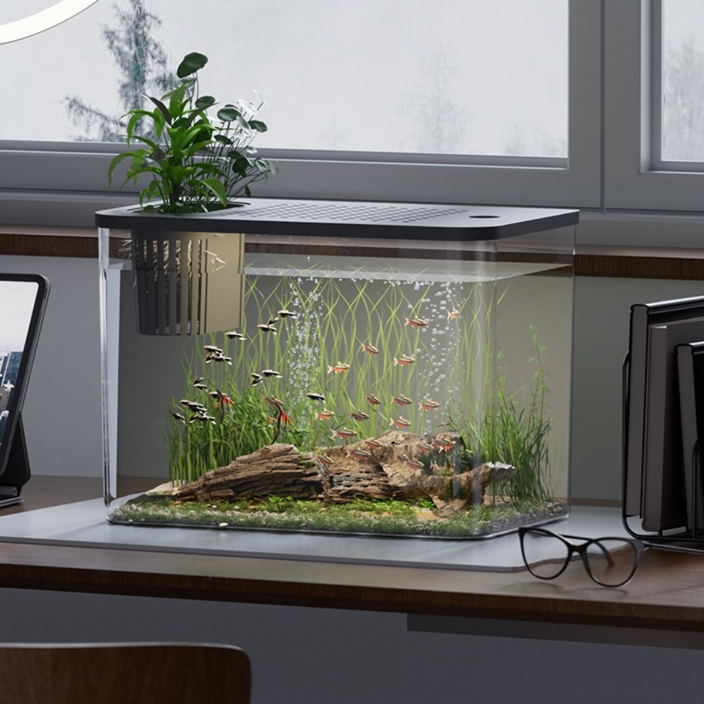 PET+ABS Fish Tank Transparent  – Aquarium Fish For Sale Bewertung und Preis
