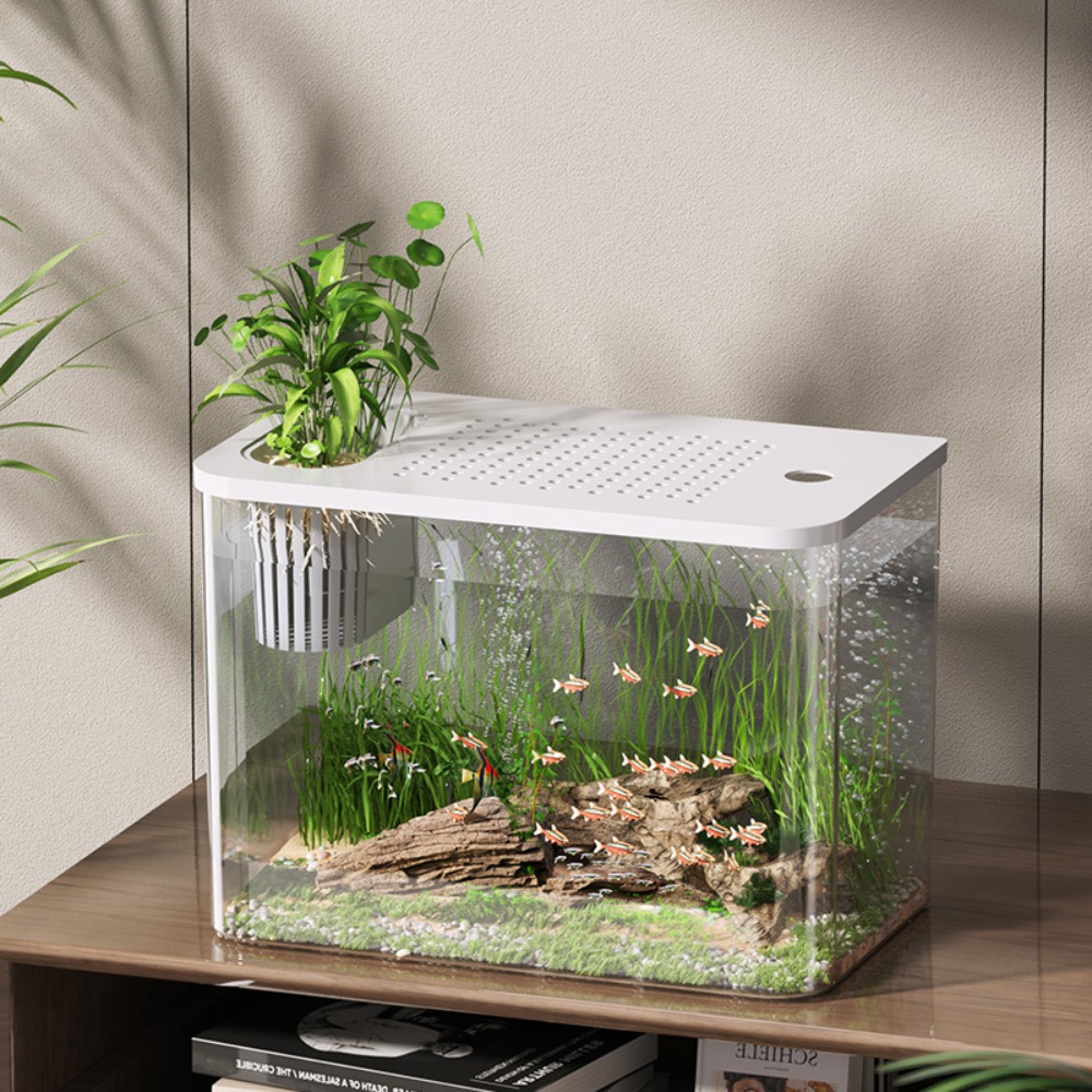 PET+ABS Fish Tank Transparent  – Aquarium Fish For Sale Bewertung und Preis