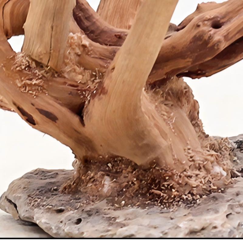1PC Aquarium Landscaping Wood  – Aquarium Fish For Sale Online Bewertung und Preis