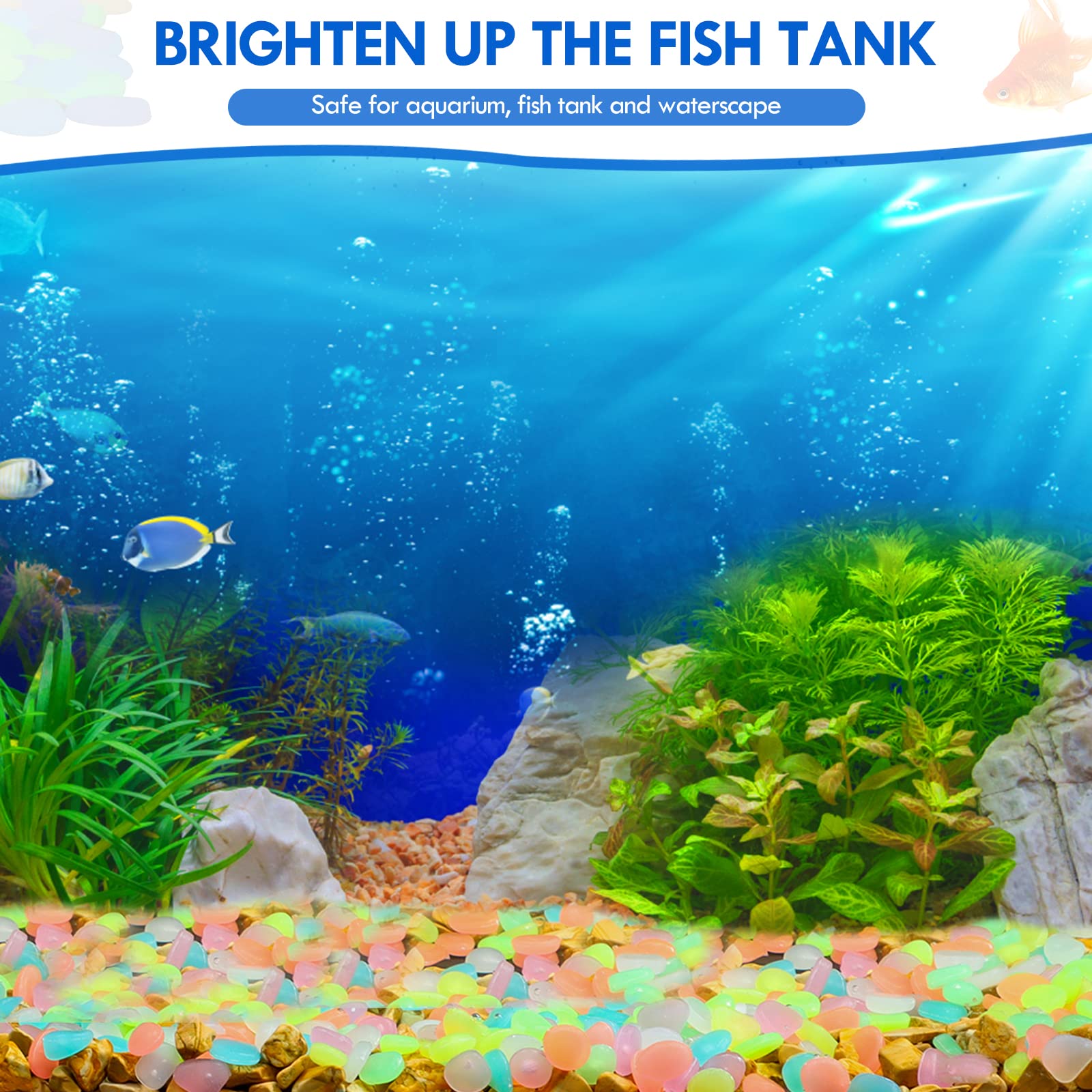 100Pcs Glow in the Dark Garden – Aquarium Fish Breeding Bewertung und Preis