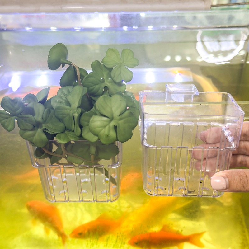 1/5pcs Aquarium Decoration Pla – Aquarium Fish Breeding Bewertung und Preis