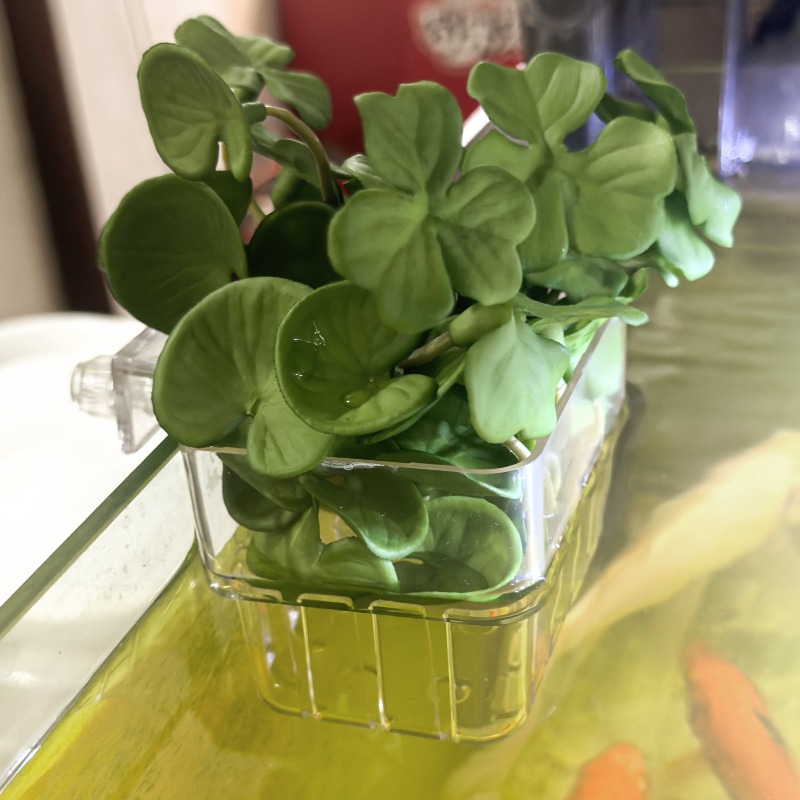 1/5pcs Aquarium Decoration Pla – Aquarium Fish Breeding Bewertung und Preis