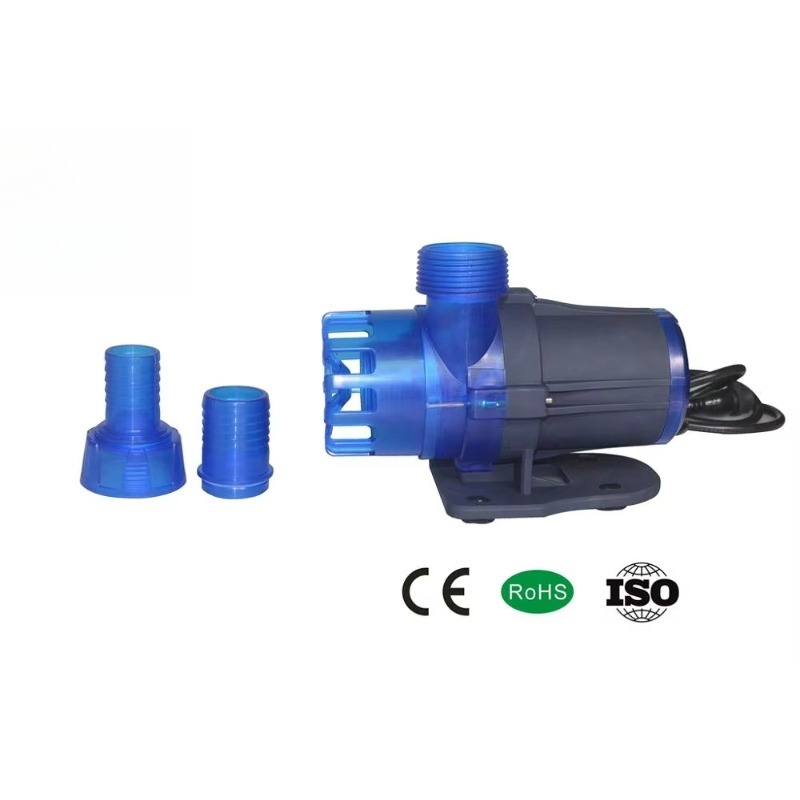 Hot Sale Extra Quiet Seawater  – Aquarium Fish For Sale Bewertung und Preis