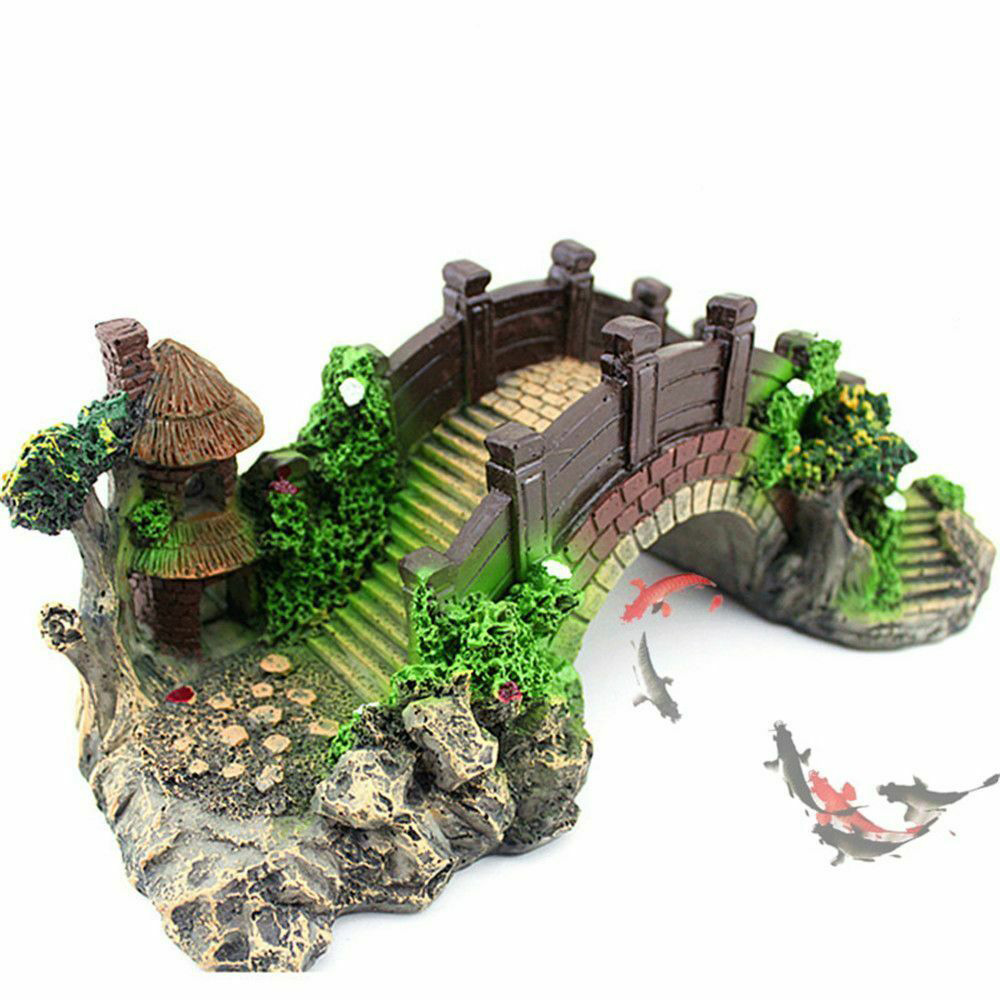 Aquarium Accessories Arbor Tre – Aquarium Fish For Sale Online Bewertung und Preis